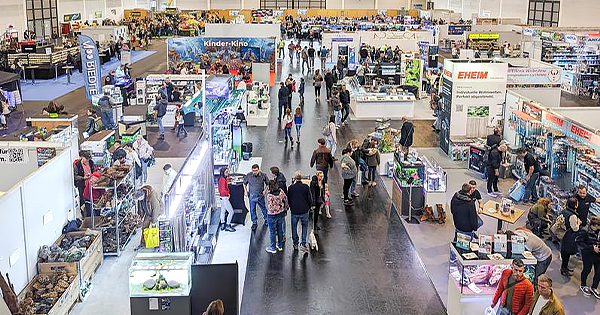 Die Hallenpläne sind online